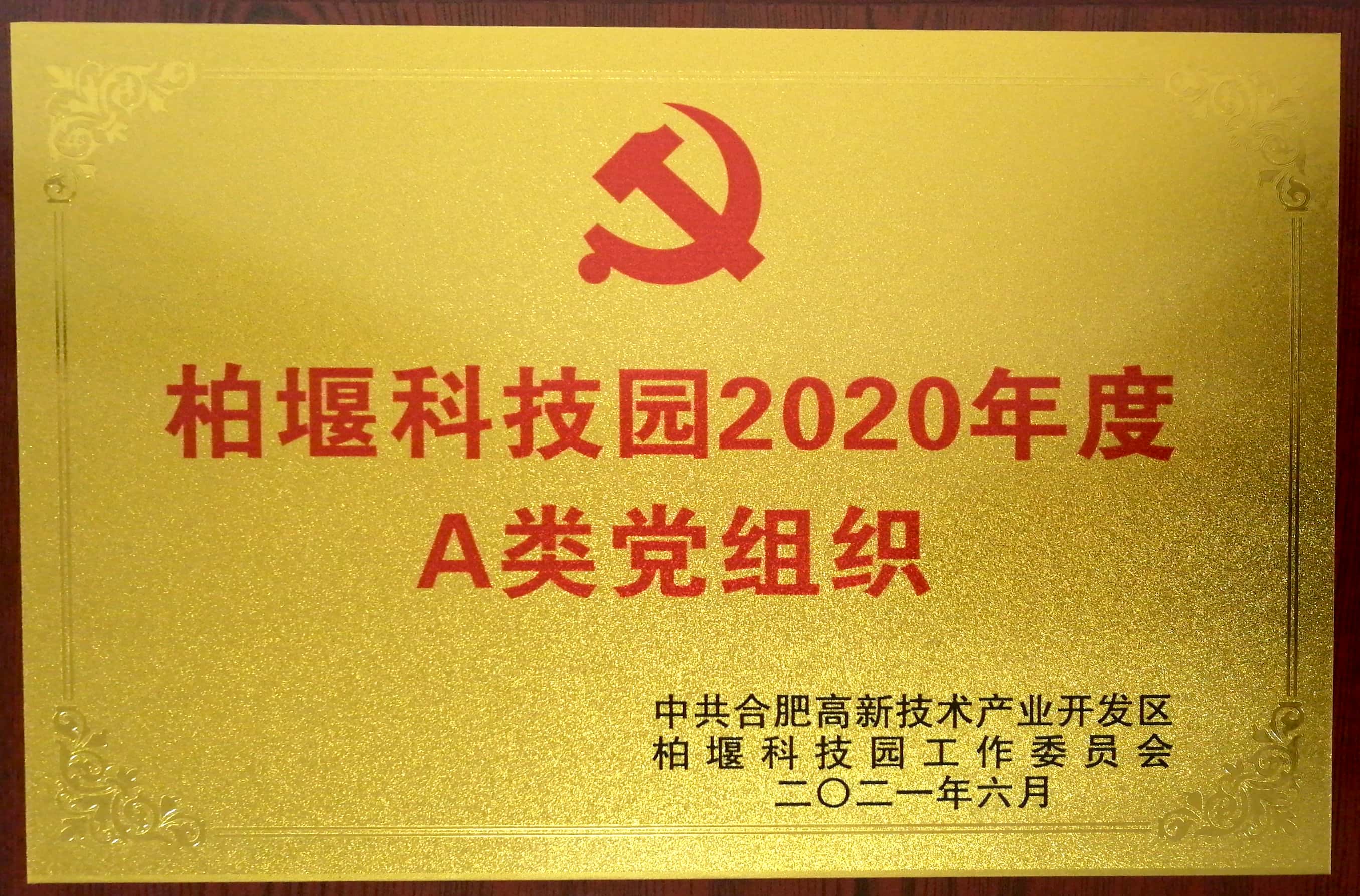 安徽深藍(lán)醫(yī)療科技股份有限公司黨支部被評(píng)為“柏堰科技園2020年度A類黨組織”