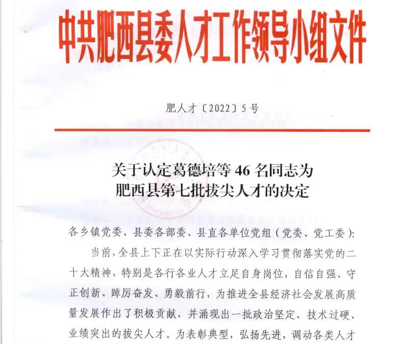 深藍(lán)醫(yī)療總經(jīng)理榮獲“肥西縣第七批拔尖人才”榮譽(yù)稱號(hào) 深藍(lán)醫(yī)療總經(jīng)理榮獲“肥西縣第七批拔尖人才”榮譽(yù)稱號(hào)