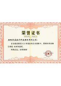 科創(chuàng)金融引領(lǐng)獎(jiǎng)-專(zhuān)利創(chuàng)造獎(jiǎng)